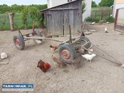 Sprzedam wóz - Obrazek 1