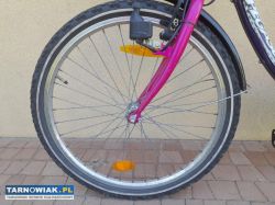 Rower miejski dla dziewczynki - Obrazek 3
