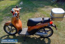 Yamaha flipper 50cm - Obrazek 1