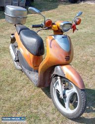 Yamaha flipper 50cm - Obrazek 2