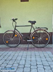Rower Trekkingowy - Obrazek 1