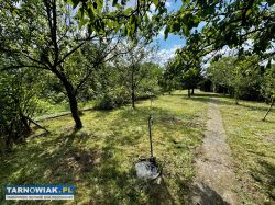 Ogródek działkowy nr 352 w ROD Leliwa w Tarnowie - Obrazek 1