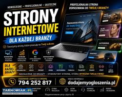 Projektowanie stron internetowych dla firm od such - Obrazek 1