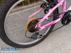 Rower dziecięcy Kellys Lumi 20” - Obrazek 3