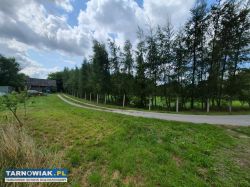 Zaborów - 44 ary, działka pod zabudowę i usługi. - Obrazek 2
