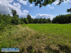 Zaborów - 44 ary, działka pod zabudowę i usługi. - Obrazek 4