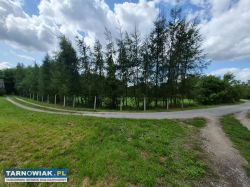 Zaborów - 44 ary, działka pod zabudowę i usługi. - Obrazek 3