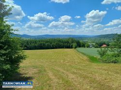 sprzedam działkę - Obrazek 3