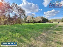 Działka budowlana 954 m² - Krzyż, ul. Sosnowa - Obrazek 2
