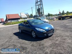 Peugeot 307cc 2.0 05r - Obrazek 1