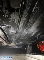 Konserwacja na każdą kieszeń - Obrazek 1