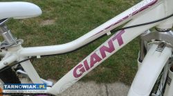 Rower 24 Giant Areva alu rama 12 cali sprawny - Obrazek 3