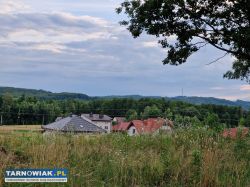 Działka budowlana - inwestycyjna Skrzyszów 30ar - Obrazek 1