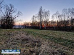 Działka budowlana - inwestycyjna Skrzyszów 30ar - Obrazek 2
