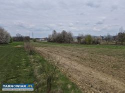 Koszyce Małe duża działka pod zabudowę mieszkaniow - Obrazek 4