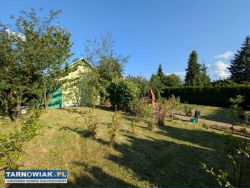 Sprzedam. Działka rekreacyjna ROD Kopernik - Obrazek 3