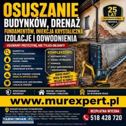 Osuszanie i iniekcja ścian i piwnic - izolacja poz - Obrazek 2