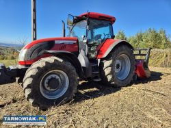 Czyszczenie i porządkowanie działek - Obrazek 1