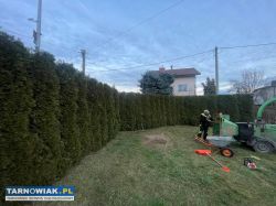 Czyszczenie i porządkowanie działek - Obrazek 2
