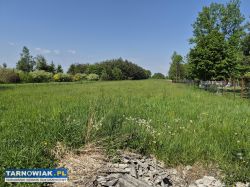 Dom z dużą działką i stawem – Strzelce Wielkie - Obrazek 3