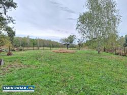 Wierzchosławice - murowany dom na dużej działce - Obrazek 4