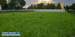 Działka Szczucin 11 arów - Obrazek 1