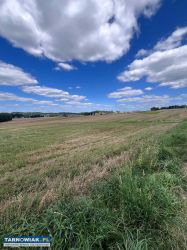 Łęki Górne 1.6 ha - Obrazek 1