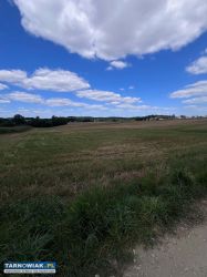 Łęki Górne 1.6 ha - Obrazek 2
