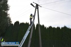 Serwisant sieci internetowych - Obrazek 1