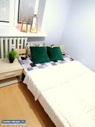 Mieszkanie 40m2, umeblowane i wyposażone, Mościce - Obrazek 2