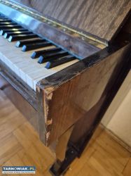 Pianino - Obrazek 3