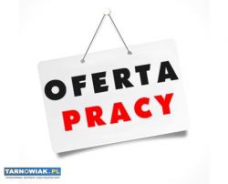 Kierowca praca w Wojniczu - Obrazek 1