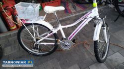 rowery górskie Raleigh gianty BMX - Obrazek 2