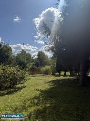 Sprzedam działkę ROD - Obrazek 1