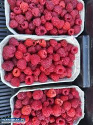 maliny - Obrazek 1