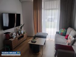 Mieszkanie do wynajęcia od zaraz - Dąbrowa T. - Obrazek 1