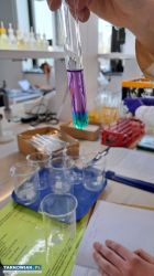 Korepetycje z Chemii - Szkoła/Studia - Obrazek 4