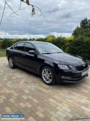 Skoda Octavia - Obrazek 4