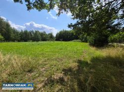 Zaborów -44 ar, tanio - Obrazek 2