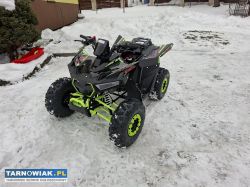 Sprzedam Quada 125 cc + pług do sniegu - Obrazek 2