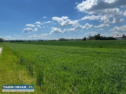 Sprzedam działke - Obrazek 2
