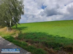 Sprzedam - Obrazek 1