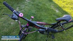 Rower 26 Indiana X-Pulser alu rama 17 cali sprawny - Obrazek 2