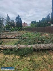 Usługi ogrodniczo-porządkowe – tarnów i okolice - Obrazek 2