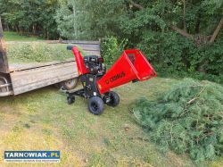 Usługi ogrodniczo-porządkowe – tarnów i okolice - Obrazek 3
