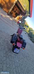 Kawasaki EL 250 Eliminator 1998r - Obrazek 4