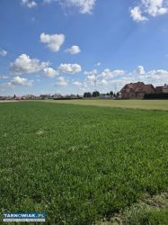 Działki w Łęgu Tarnowskim - Obrazek 1
