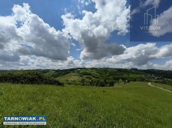 Działka 86 arów Zborowice - Obrazek 3