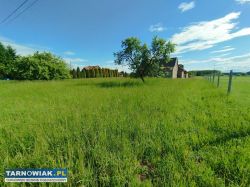 9,30 ara Radłów ul.Szkolna - Obrazek 2