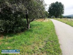 Rudka koło Wojnicza 38ar - Obrazek 3